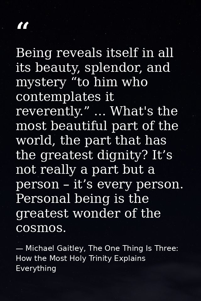 Being reveals itself in all its beauty, splendor, and mystery “to him who contemplates it reverently.” ... What's the mo — Michael Gaitley, The One Thing Is Three: How the Most Holy Trinity Explains Everything