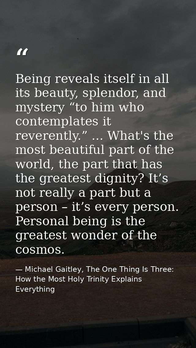 Being reveals itself in all its beauty, splendor, and mystery “to him who contemplates it reverently.” ... What's the mo — Michael Gaitley, The One Thing Is Three: How the Most Holy Trinity Explains Everything