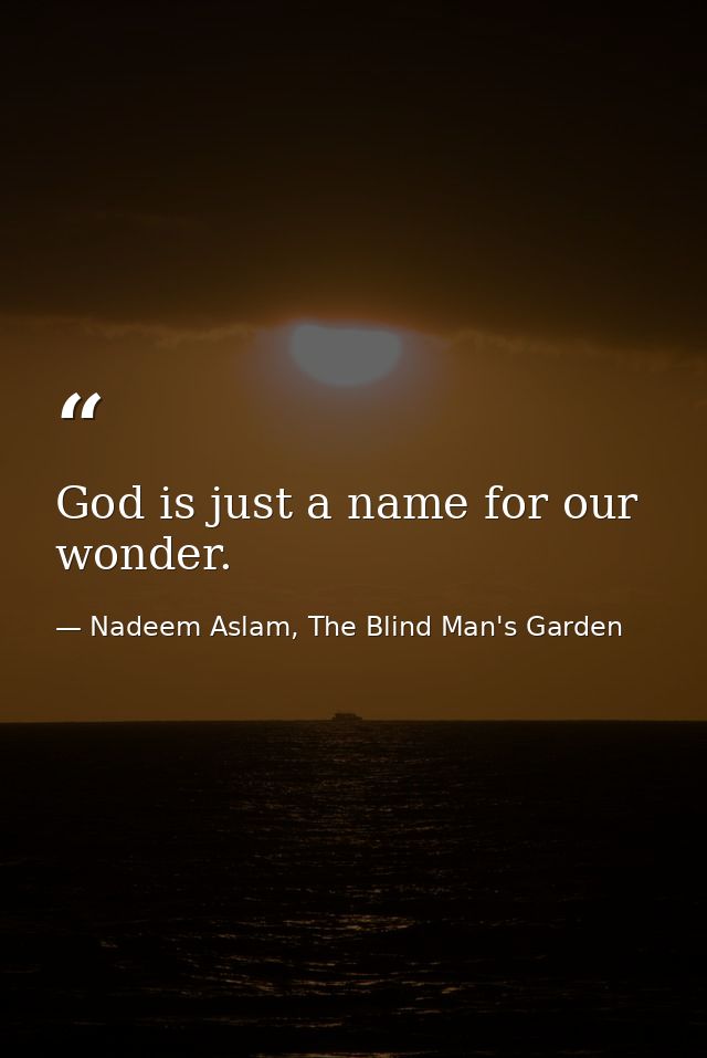 God is just a name for our wonder. — Nadeem Aslam, The Blind Man's Garden