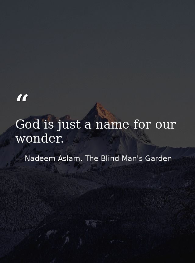God is just a name for our wonder. — Nadeem Aslam, The Blind Man's Garden