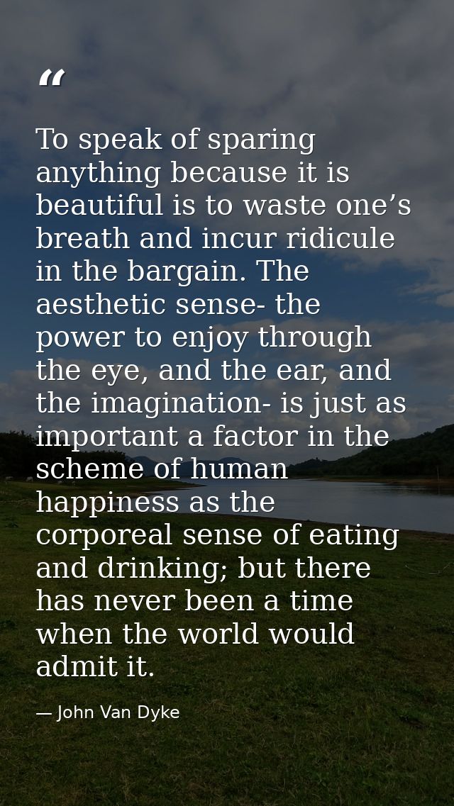 To speak of sparing anything because it is beautiful is to waste one’s breath and incur ridicule in the bargain. The aes — John Van Dyke