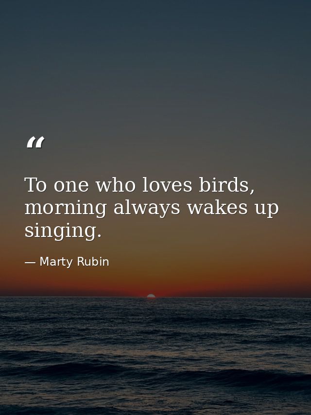 To one who loves birds, morning always wakes up singing. — Marty Rubin