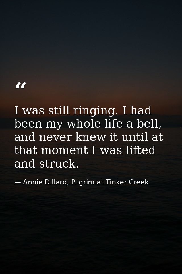 I was still ringing. I had been my whole life a bell, and never knew it until at that moment I was lifted and struck. — Annie Dillard, Pilgrim at Tinker Creek