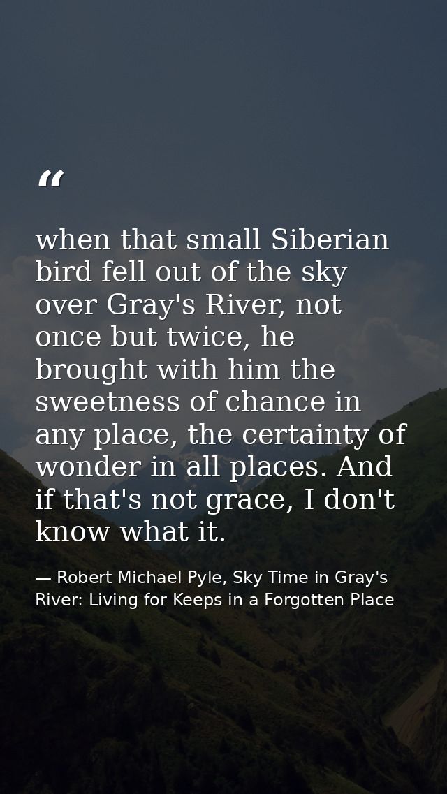 when that small Siberian bird fell out of the sky over Gray's River, not once but twice, he brought with him the sweetne — Robert Michael Pyle, Sky Time in Gray's River: Living for Keeps in a Forgotten Place
