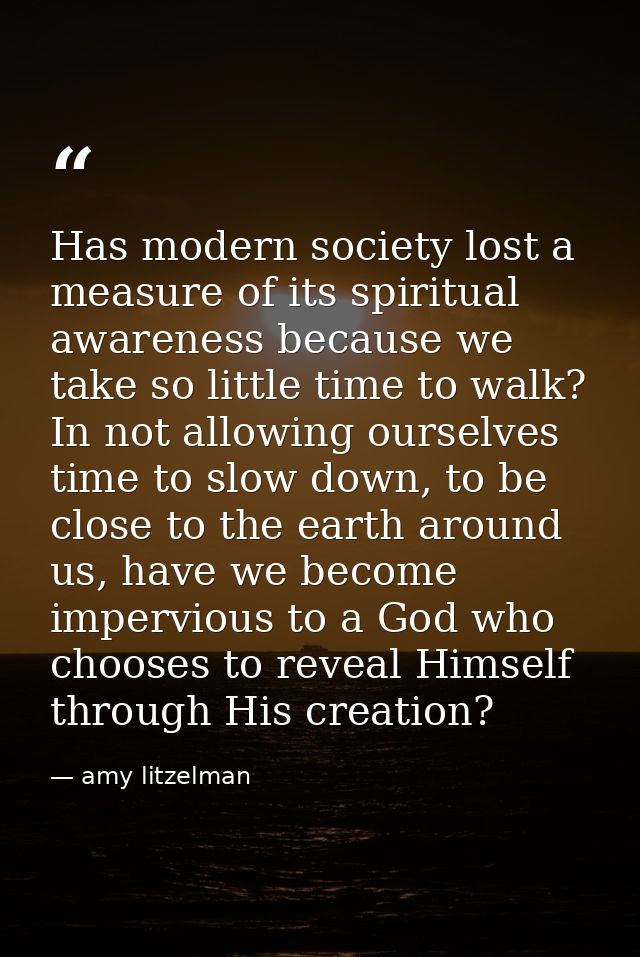 Has modern society lost a measure of its spiritual awareness because we take so little time to walk? In not allowing our — amy litzelman