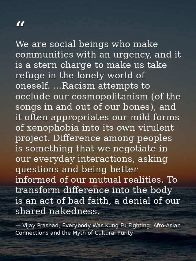 We are social beings who make communities with an urgency, and it is a stern charge to make us take refuge in the lonely — Vijay Prashad, Everybody Was Kung Fu Fighting: Afro-Asian Connections and the Myth of Cultural Purity