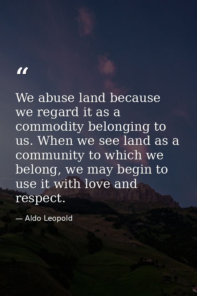 We abuse land because we regard it as a commodity belonging to us. When we see land as a community to which we belong, w — Aldo Leopold