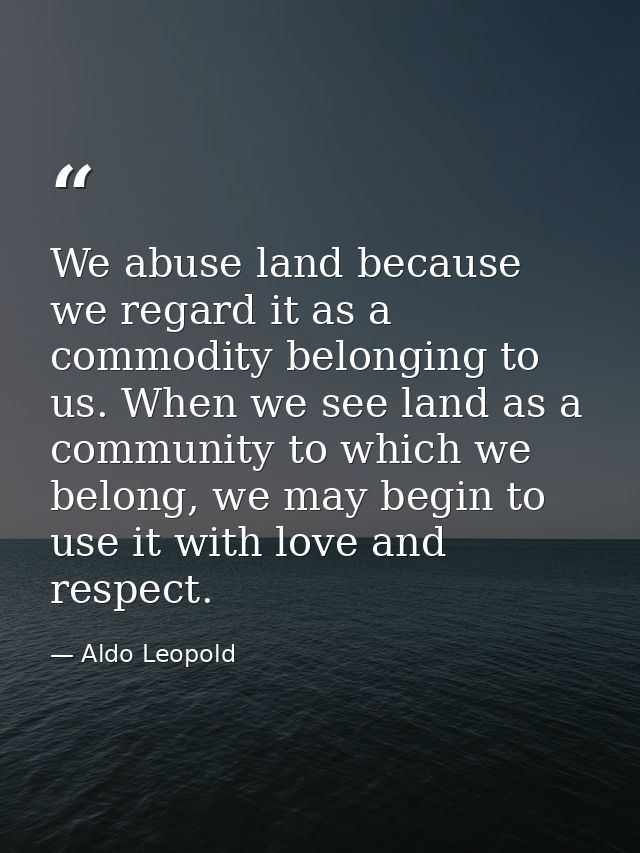 We abuse land because we regard it as a commodity belonging to us. When we see land as a community to which we belong, w — Aldo Leopold