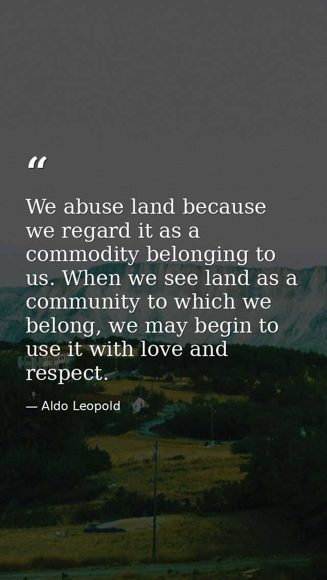 We abuse land because we regard it as a commodity belonging to us. When we see land as a community to which we belong, w — Aldo Leopold