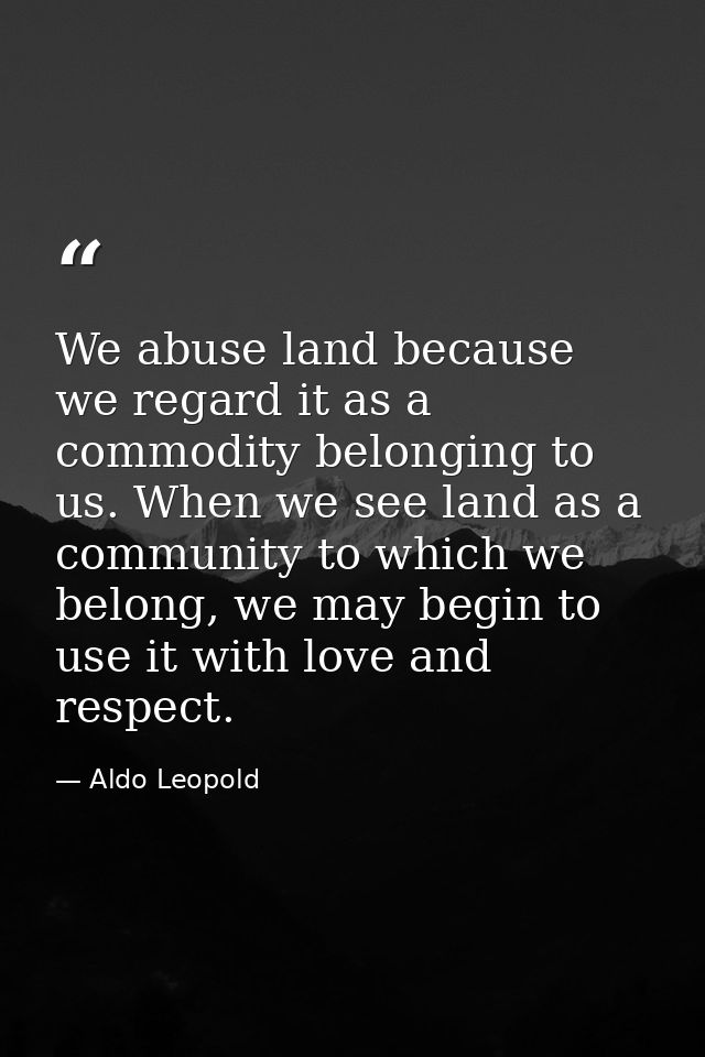 We abuse land because we regard it as a commodity belonging to us. When we see land as a community to which we belong, w — Aldo Leopold