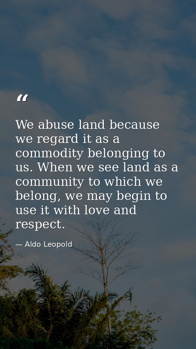 We abuse land because we regard it as a commodity belonging to us. When we see land as a community to which we belong, w — Aldo Leopold