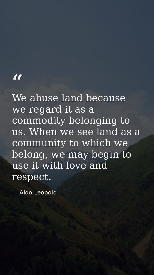 We abuse land because we regard it as a commodity belonging to us. When we see land as a community to which we belong, w — Aldo Leopold