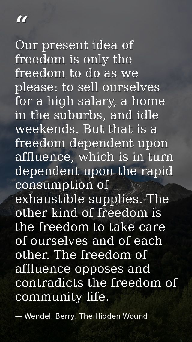 Our present idea of freedom is only the freedom to do as we please: to sell ourselves for a high salary, a home in the s — Wendell Berry, The Hidden Wound