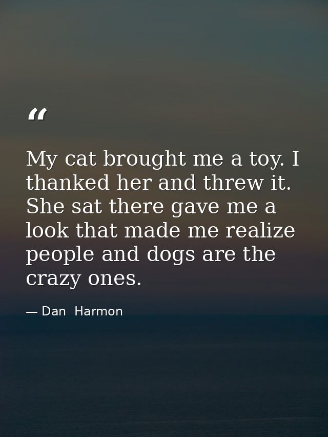 My cat brought me a toy. I thanked her and threw it. She sat there gave me a look that made me realize people and dogs a — Dan  Harmon