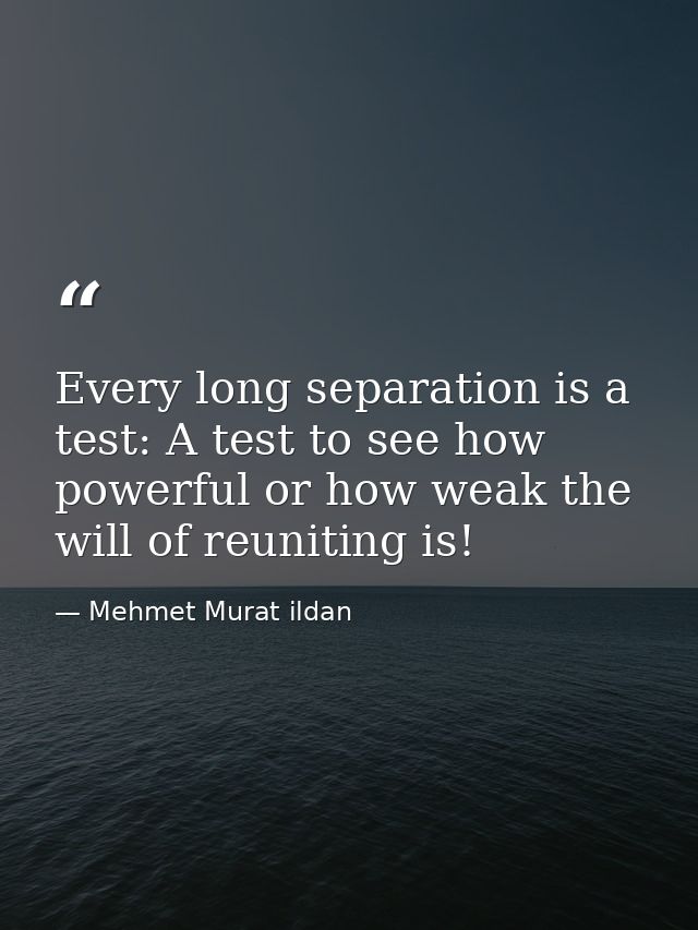 Every long separation is a test: A test to see how powerful or how weak the will of reuniting is! — Mehmet Murat ildan