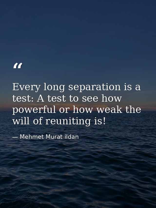 Every long separation is a test: A test to see how powerful or how weak the will of reuniting is! — Mehmet Murat ildan