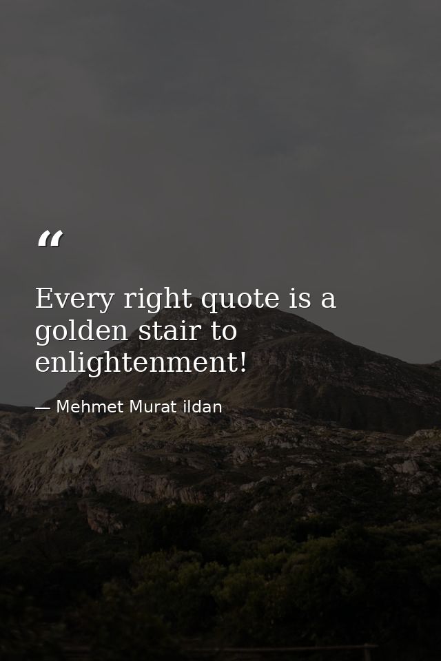 Every right quote is a golden stair to enlightenment! — Mehmet Murat ildan