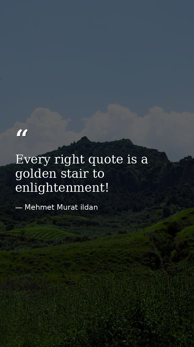 Every right quote is a golden stair to enlightenment! — Mehmet Murat ildan