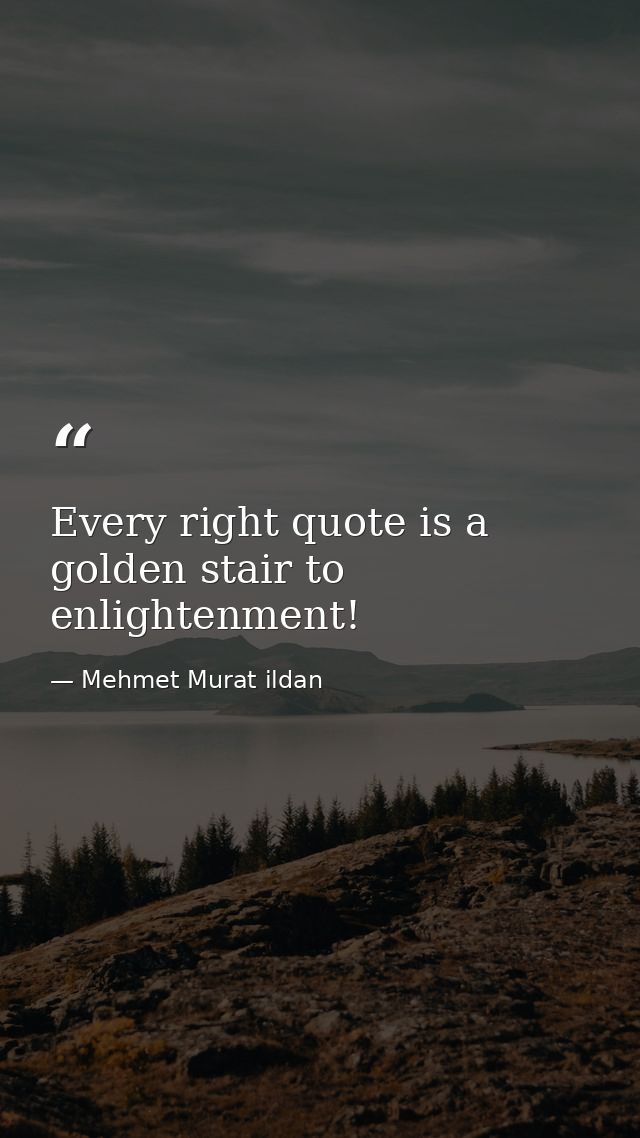 Every right quote is a golden stair to enlightenment! — Mehmet Murat ildan