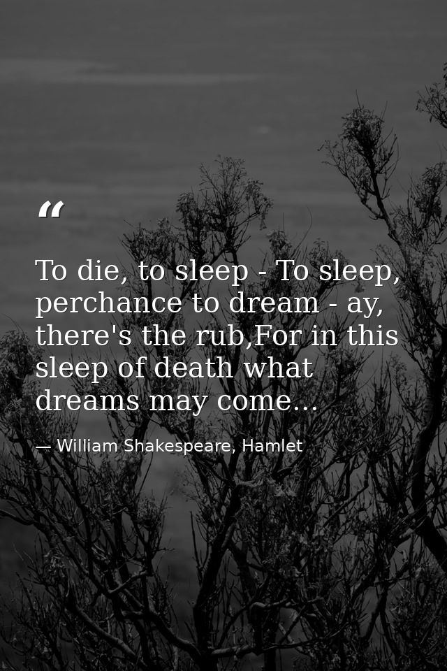 To die, to sleep - To sleep, perchance to dream - ay, there's the rub,For in this sleep of death what dreams may come... — William Shakespeare, Hamlet