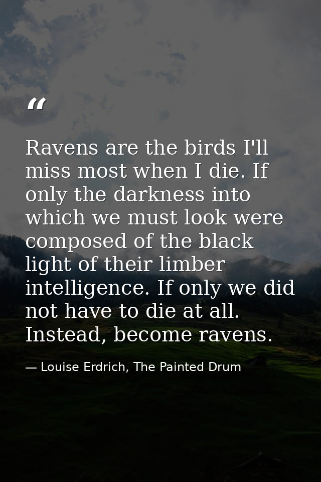 Ravens are the birds I'll miss most when I die. If only the darkness into which we must look were composed of the black  — Louise Erdrich, The Painted Drum