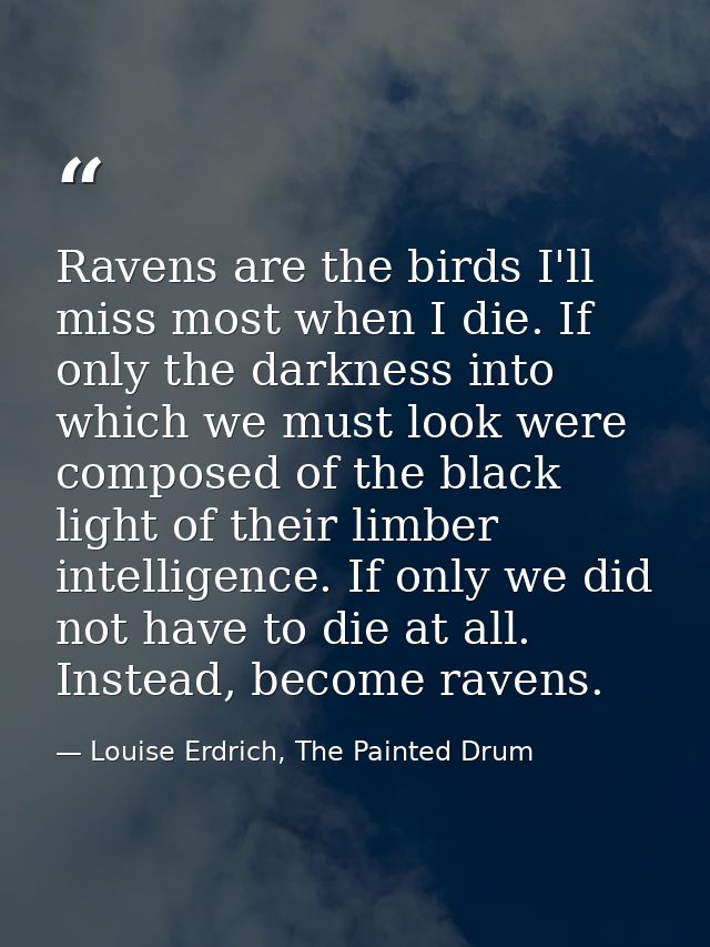 Ravens are the birds I'll miss most when I die. If only the darkness into which we must look were composed of the black  — Louise Erdrich, The Painted Drum