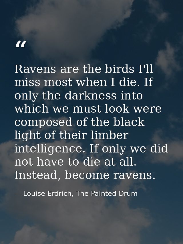 Ravens are the birds I'll miss most when I die. If only the darkness into which we must look were composed of the black  — Louise Erdrich, The Painted Drum