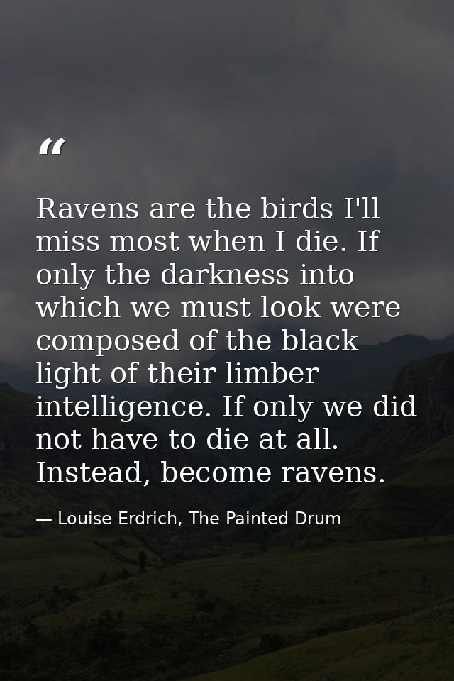 Ravens are the birds I'll miss most when I die. If only the darkness into which we must look were composed of the black  — Louise Erdrich, The Painted Drum