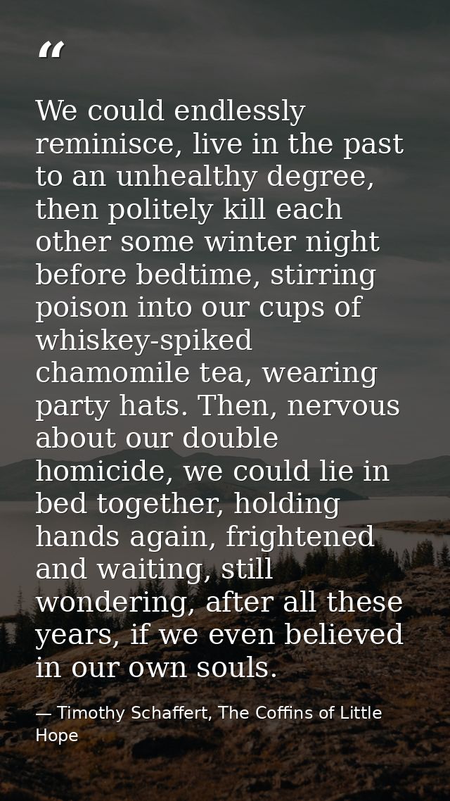 We could endlessly reminisce, live in the past to an unhealthy degree, then politely kill each other some winter night b — Timothy Schaffert, The Coffins of Little Hope