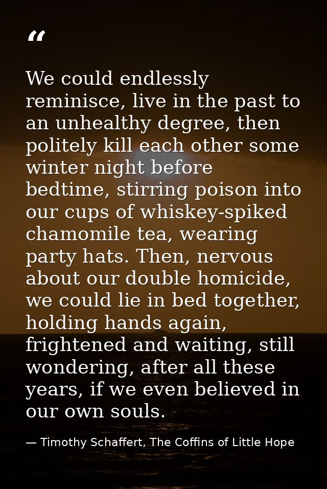 We could endlessly reminisce, live in the past to an unhealthy degree, then politely kill each other some winter night b — Timothy Schaffert, The Coffins of Little Hope