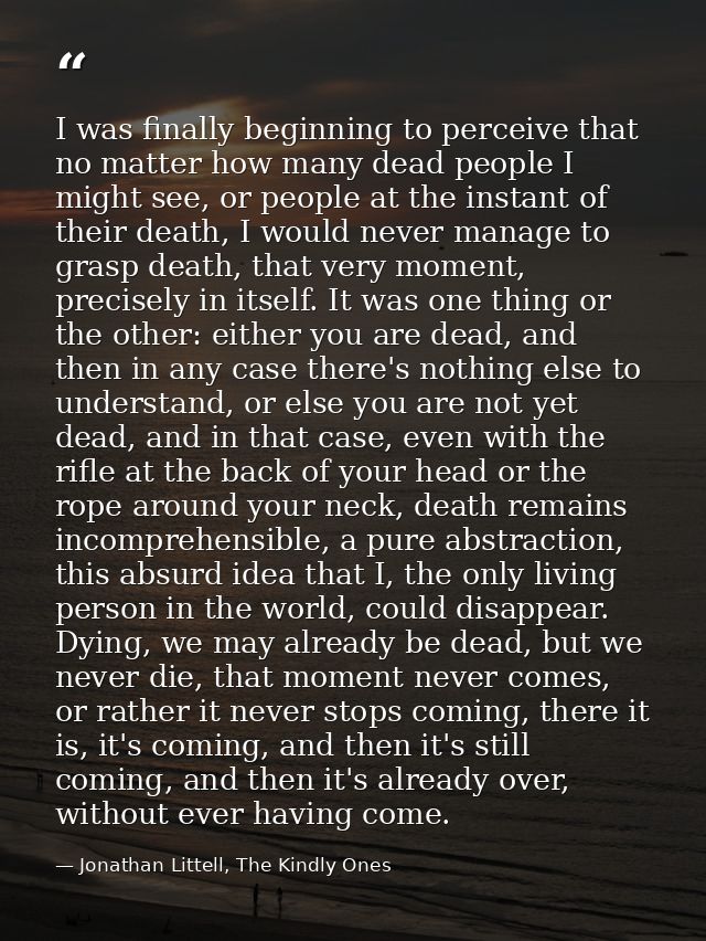 I was finally beginning to perceive that no matter how many dead people I might see, or people at the instant of their d — Jonathan Littell, The Kindly Ones