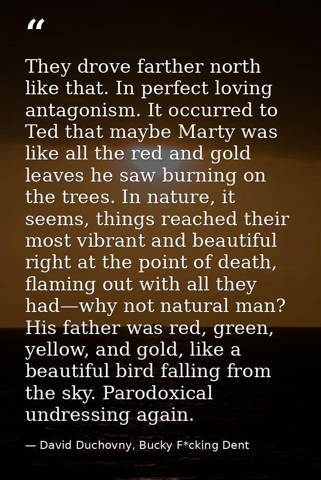They drove farther north like that. In perfect loving antagonism. It occurred to Ted that maybe Marty was like all the r — David Duchovny, Bucky F*cking Dent