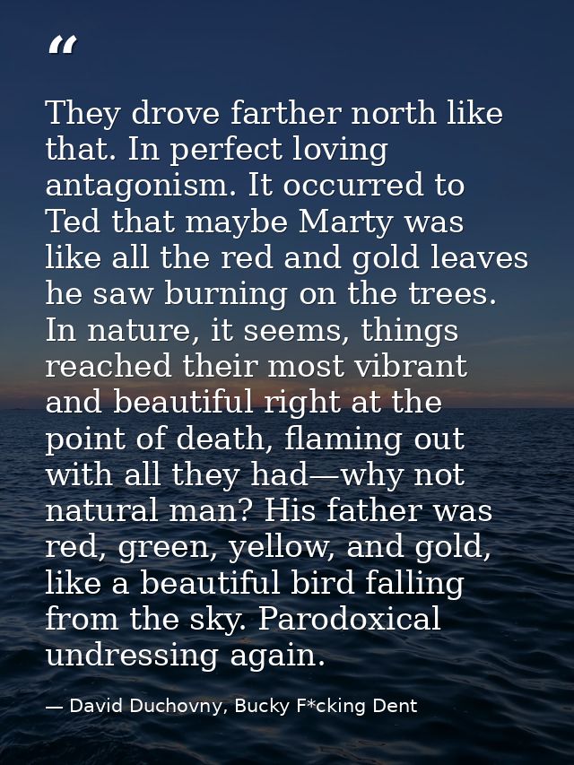 They drove farther north like that. In perfect loving antagonism. It occurred to Ted that maybe Marty was like all the r — David Duchovny, Bucky F*cking Dent