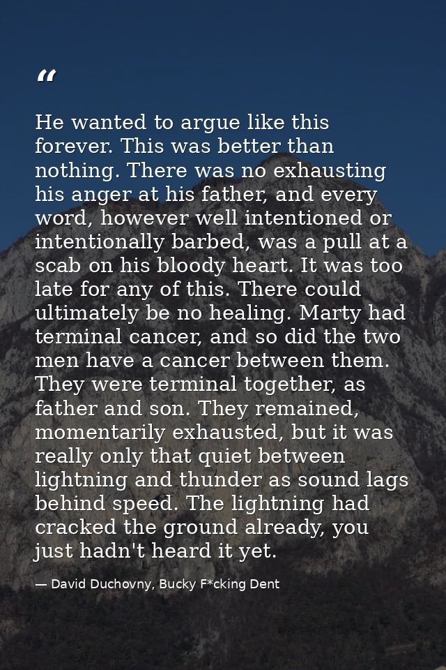 He wanted to argue like this forever. This was better than nothing. There was no exhausting his anger at his father, and — David Duchovny, Bucky F*cking Dent