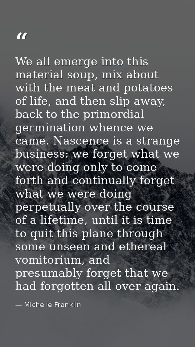 We all emerge into this material soup, mix about with the meat and potatoes of life, and then slip away, back to the pri — Michelle Franklin