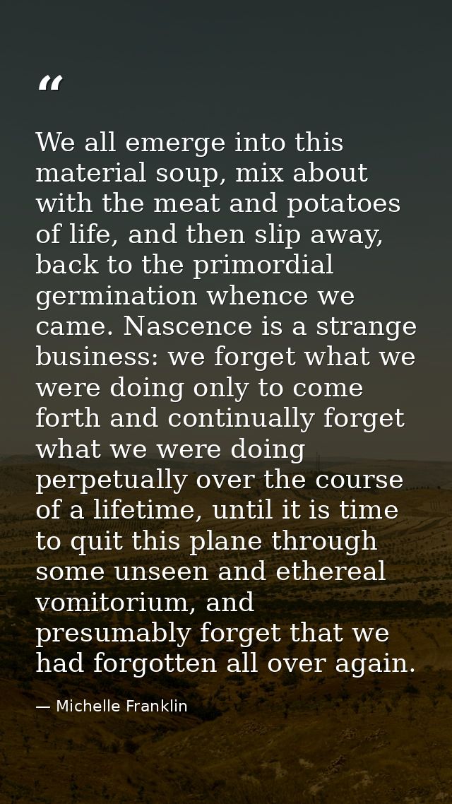 We all emerge into this material soup, mix about with the meat and potatoes of life, and then slip away, back to the pri — Michelle Franklin