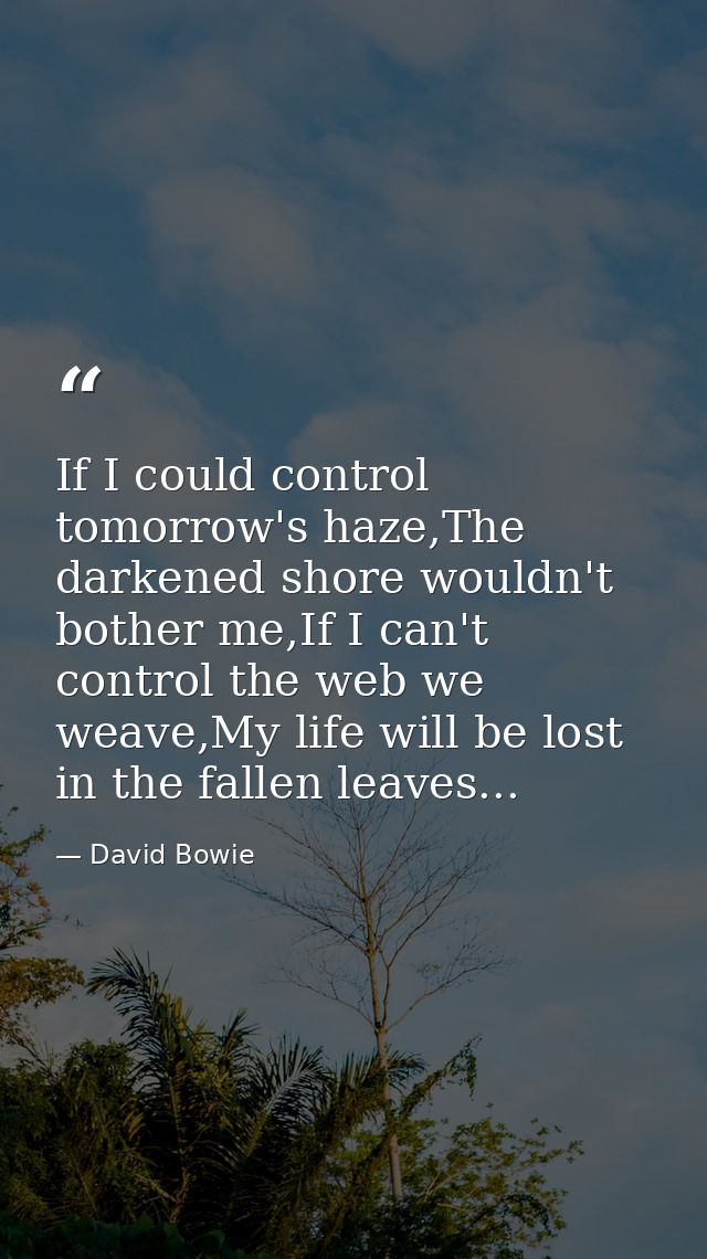If I could control tomorrow's haze,The darkened shore wouldn't bother me,If I can't control the web we weave,My life wil — David Bowie