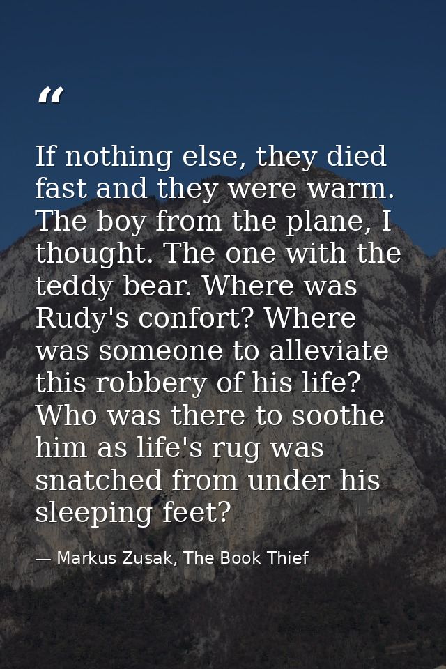 If nothing else, they died fast and they were warm. The boy from the plane, I thought. The one with the teddy bear. Wher — Markus Zusak, The Book Thief