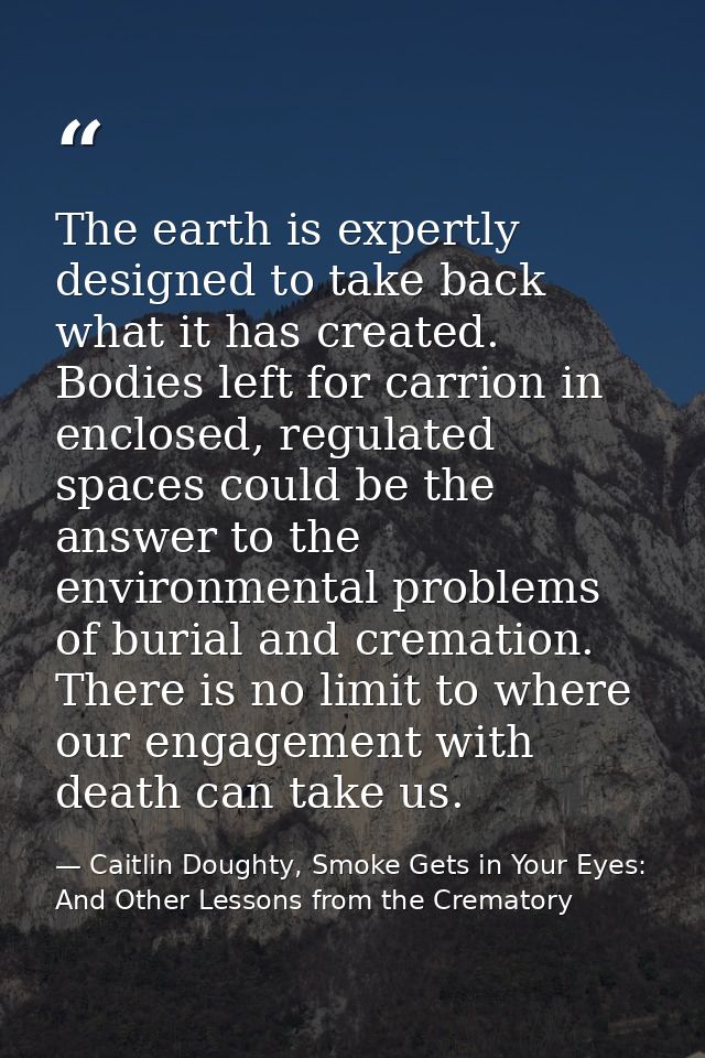 The earth is expertly designed to take back what it has created. Bodies left for carrion in enclosed, regulated spaces c — Caitlin Doughty, Smoke Gets in Your Eyes: And Other Lessons from the Crematory