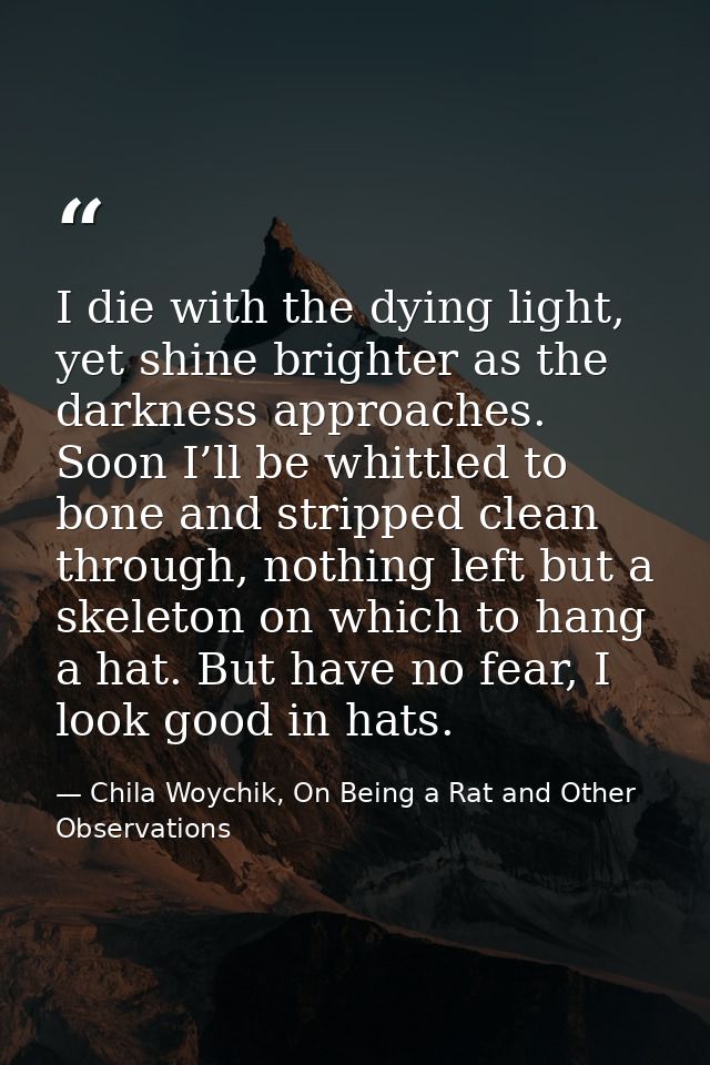 I die with the dying light, yet shine brighter as the darkness approaches. Soon I’ll be whittled to bone and stripped cl — Chila Woychik, On Being a Rat and Other Observations