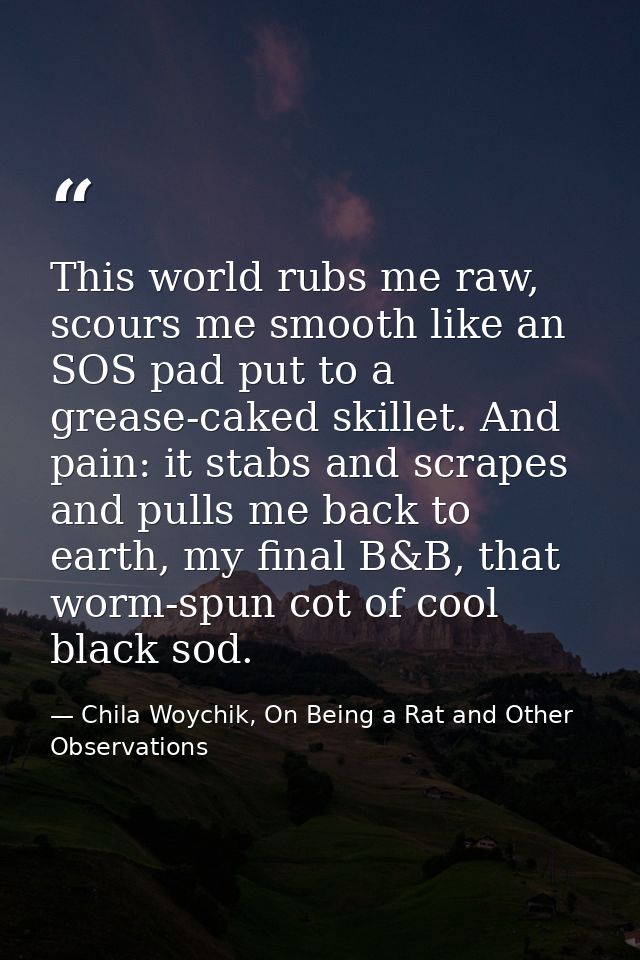 This world rubs me raw, scours me smooth like an SOS pad put to a grease-caked skillet. And pain: it stabs and scrapes a — Chila Woychik, On Being a Rat and Other Observations