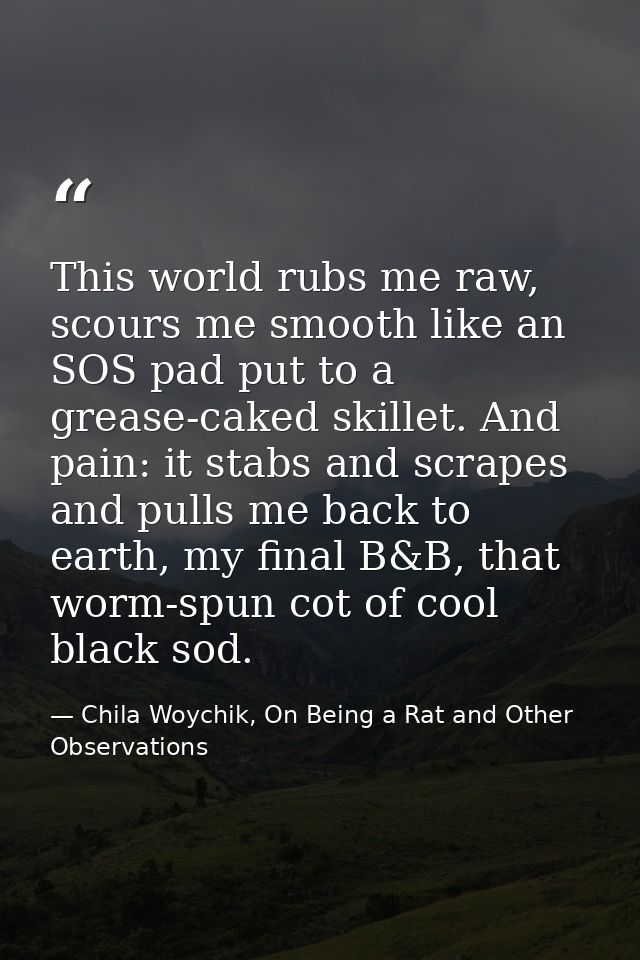 This world rubs me raw, scours me smooth like an SOS pad put to a grease-caked skillet. And pain: it stabs and scrapes a — Chila Woychik, On Being a Rat and Other Observations