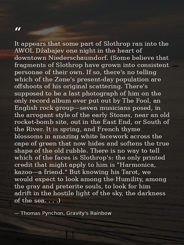 It appears that some part of Slothrop ran into the AWOL Džabajev one night in the heart of downtown Niederschaumdorf. (S — Thomas Pynchon, Gravity's Rainbow