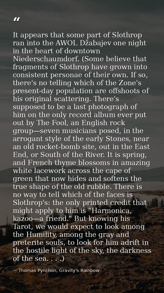 It appears that some part of Slothrop ran into the AWOL Džabajev one night in the heart of downtown Niederschaumdorf. (S — Thomas Pynchon, Gravity's Rainbow