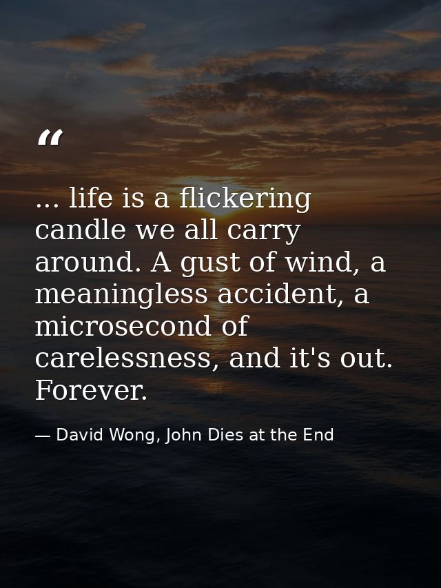 ... life is a flickering candle we all carry around. A gust of wind, a meaningless accident, a microsecond of carelessne — David Wong, John Dies at the End