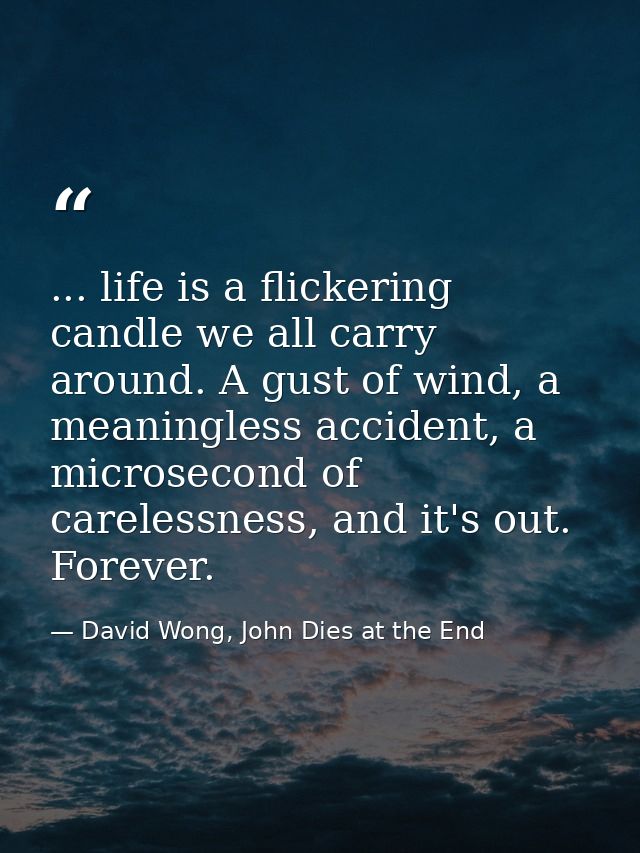 ... life is a flickering candle we all carry around. A gust of wind, a meaningless accident, a microsecond of carelessne — David Wong, John Dies at the End