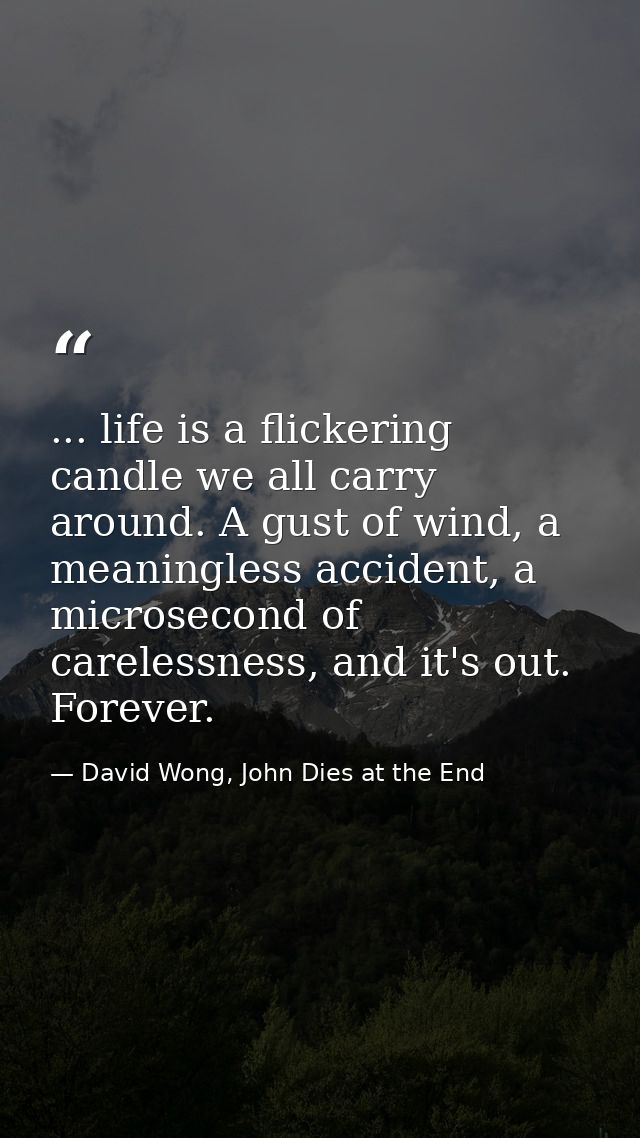 ... life is a flickering candle we all carry around. A gust of wind, a meaningless accident, a microsecond of carelessne — David Wong, John Dies at the End
