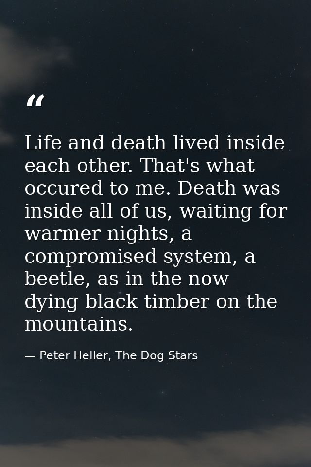 Life and death lived inside each other. That's what occured to me. Death was inside all of us, waiting for warmer nights — Peter Heller, The Dog Stars
