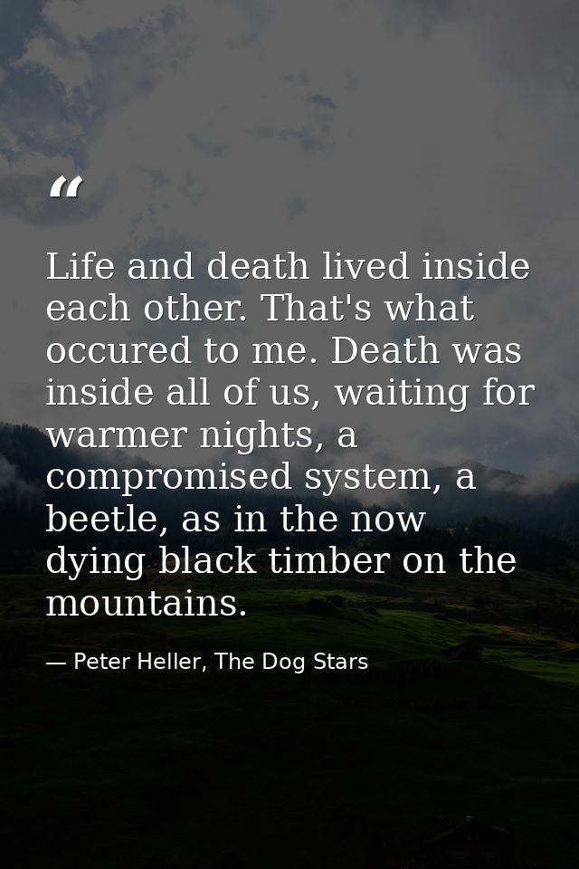 Life and death lived inside each other. That's what occured to me. Death was inside all of us, waiting for warmer nights — Peter Heller, The Dog Stars