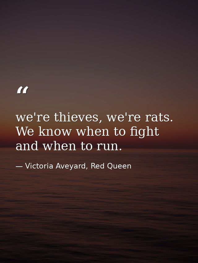 we're thieves, we're rats. We know when to fight and when to run. — Victoria Aveyard, Red Queen